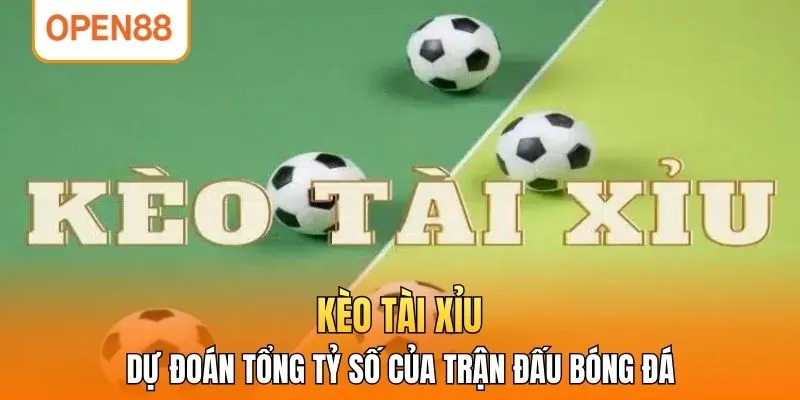Kèo tài xỉu - Dự đoán tổng tỷ số của trận đấu bóng đá
